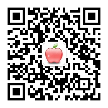 广州紫龙休闲ZL
